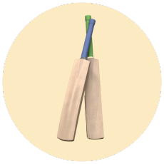 Cricket Bat