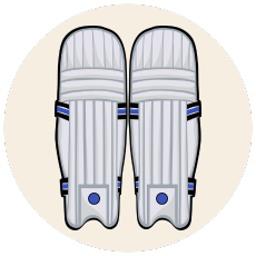 Cricket Kit